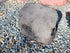 Memorial Rock Urn 1915 Medium Black / Charcoal