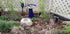 PET Memorial Rock Urn 1173