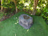 garden hollow rock urn